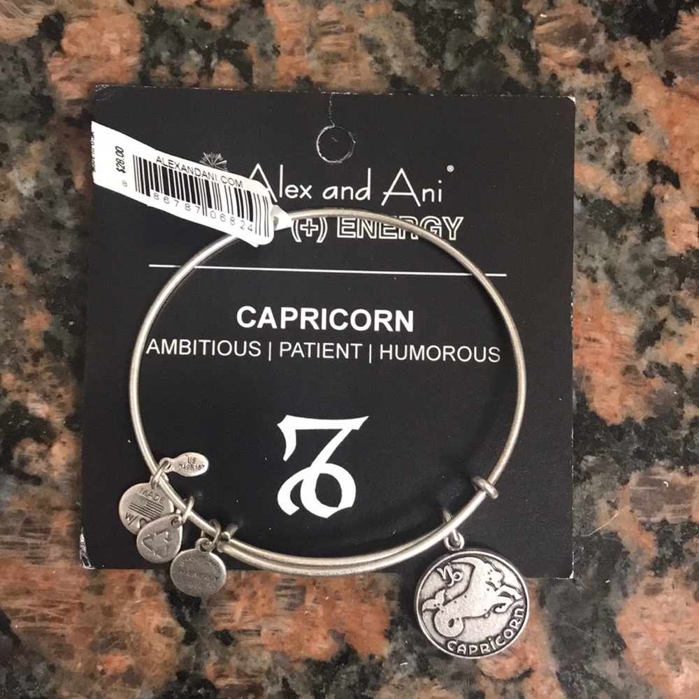 Alex and Ani Capricorn silver bracelet